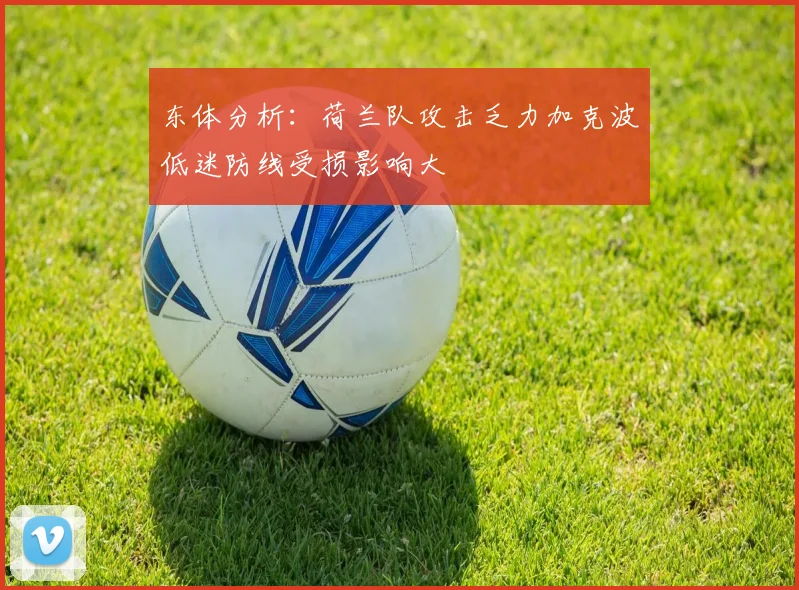 东体分析：荷兰队攻击乏力加克波低迷防线受损影响大