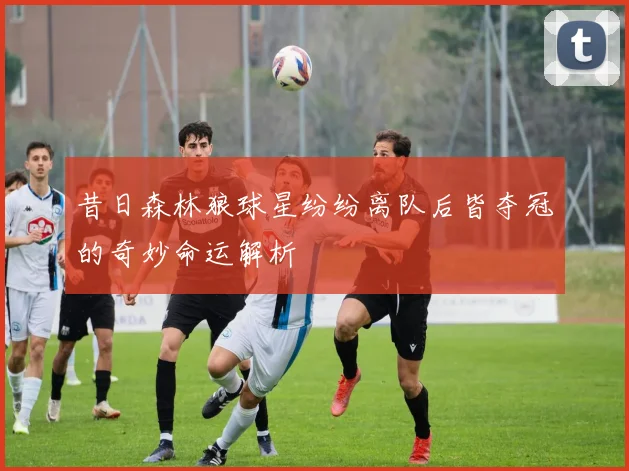 昔日森林狼球星纷纷离队后皆夺冠的奇妙命运解析